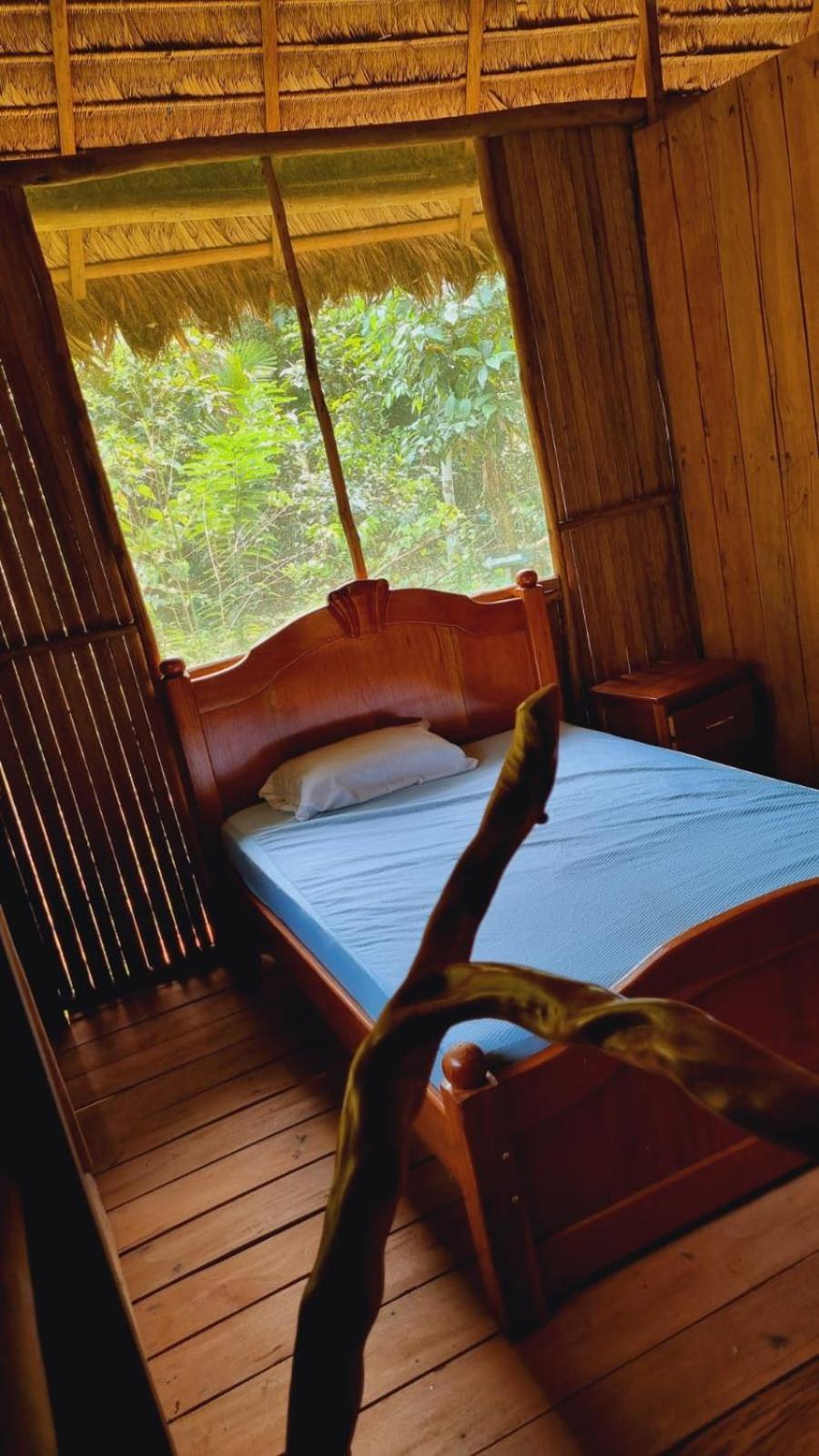 马尔多纳多港 Castana Amazon Park旅舍 外观 照片