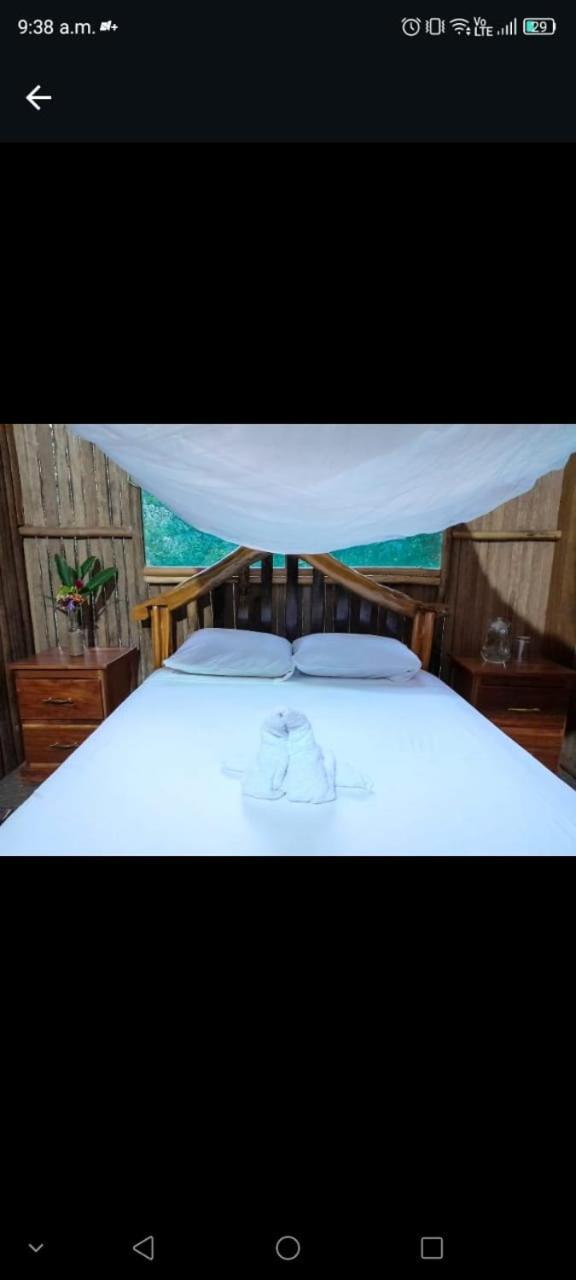马尔多纳多港 Castana Amazon Park旅舍 外观 照片