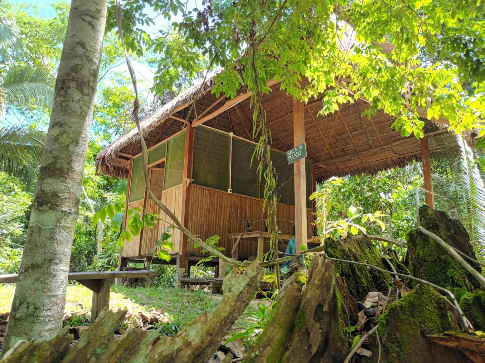 马尔多纳多港 Castana Amazon Park旅舍 外观 照片