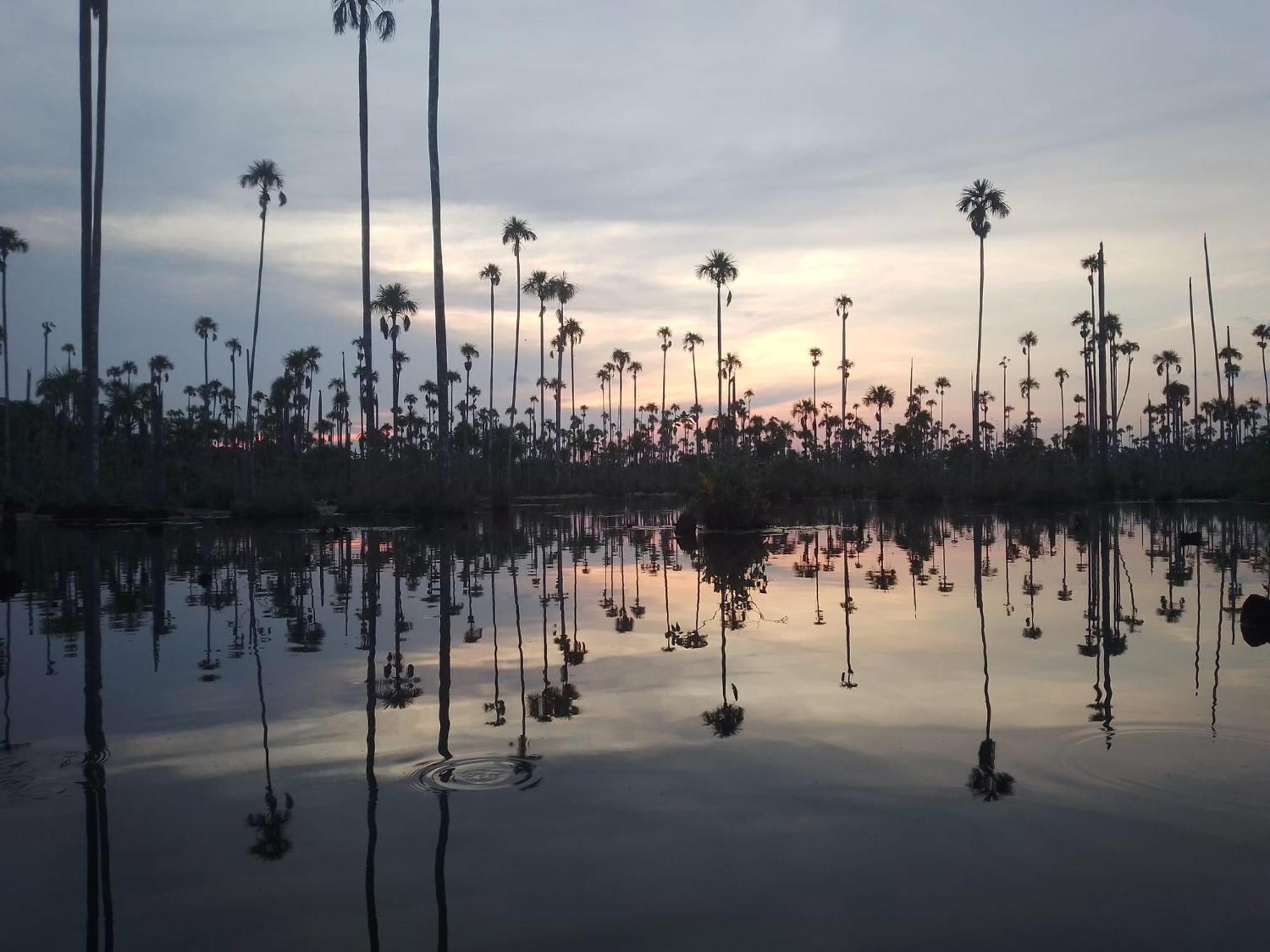 马尔多纳多港 Castana Amazon Park旅舍 外观 照片