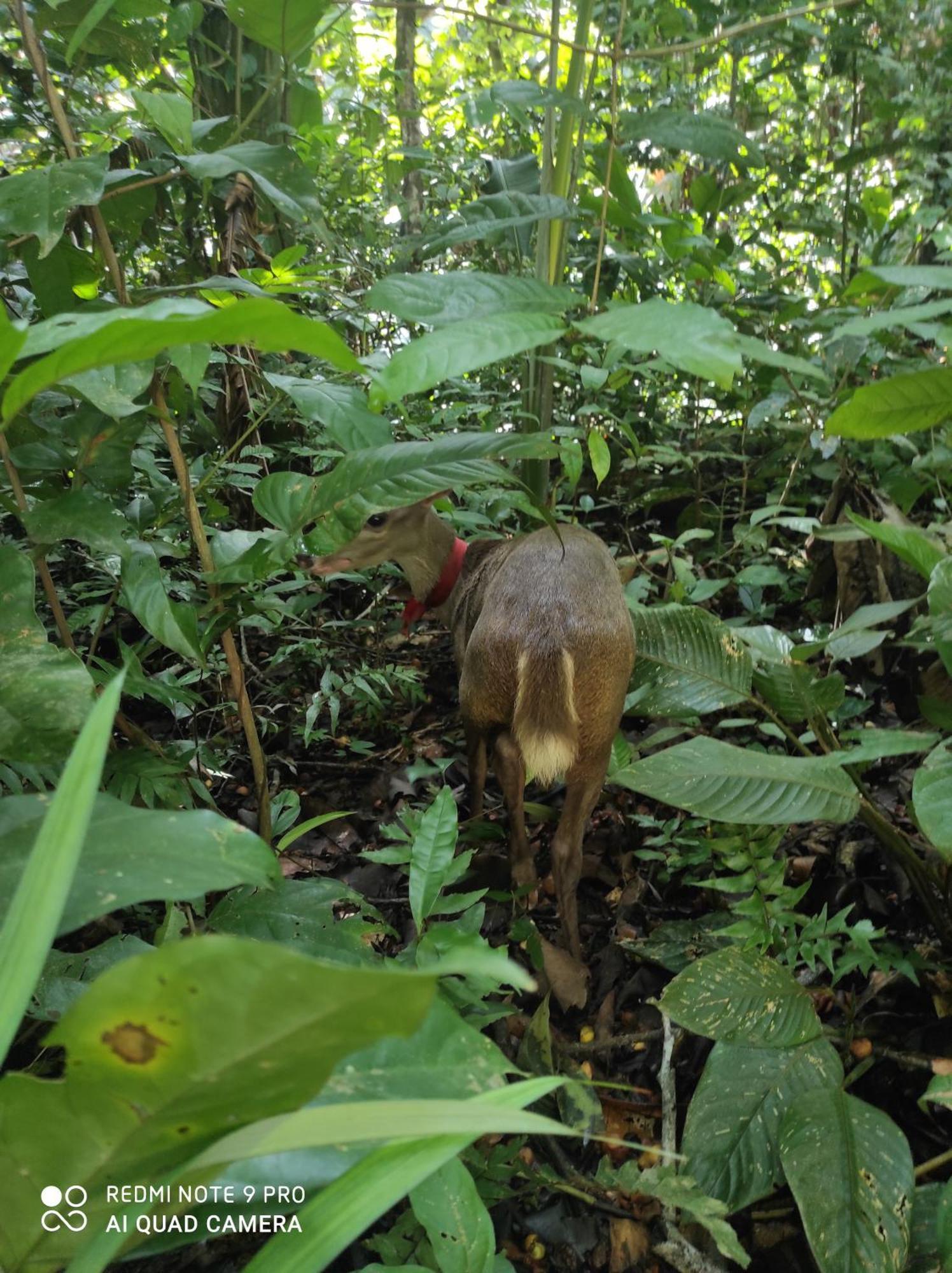 马尔多纳多港 Castana Amazon Park旅舍 外观 照片